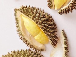 Keren! Kolektor Ini Punya Durian Botak hingga Durian Kura-kura di Kebunnya