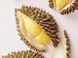 Durian botak