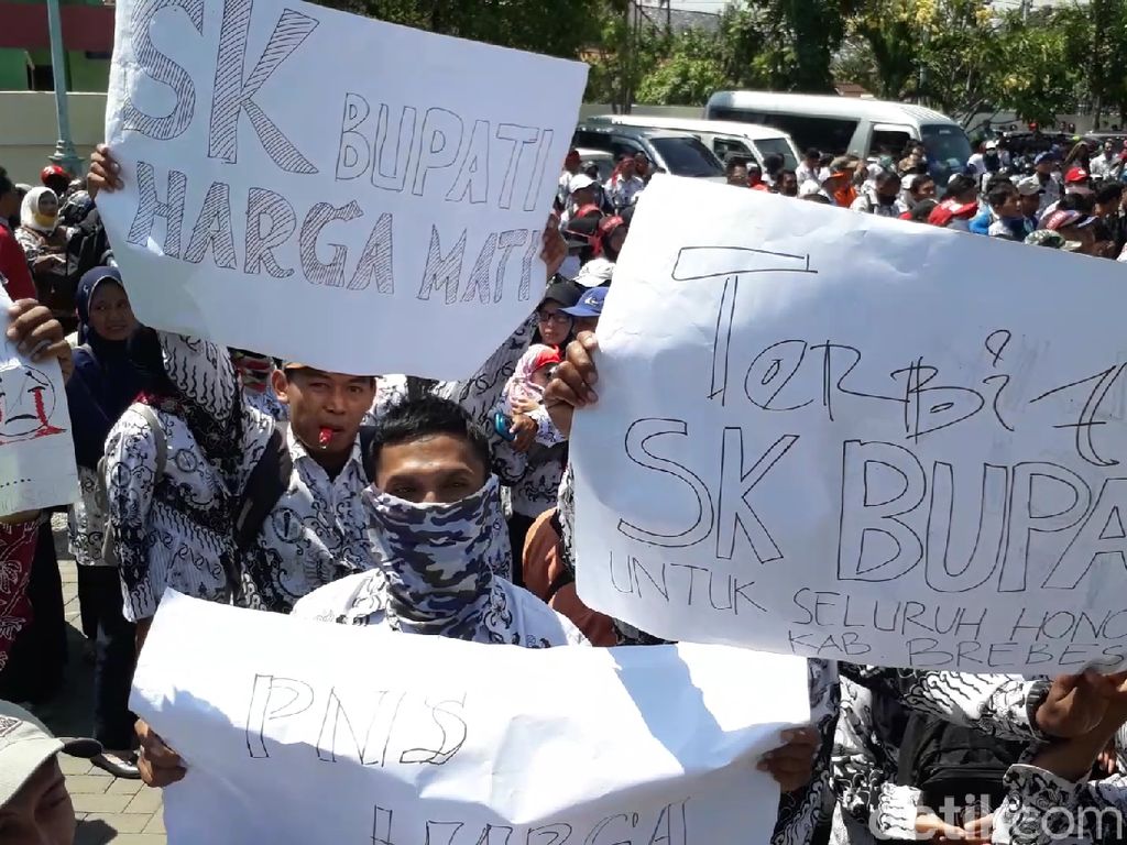 Instansi Pemerintah Masih Berani Angkat Honorer? Siap-siap Disanksi Instansi Pemerintah Masih Berani Angkat Honorer? Siap-siap Disanksi