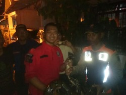 Ular Sanca yang Resahkan Warga Surabaya Sejak Juli Akhirnya Tertangkap