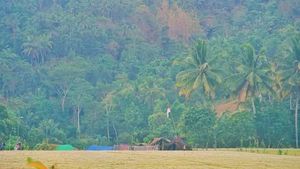 Potret Sejuk dan Asrinya Desa Wisata di Lombok Utara