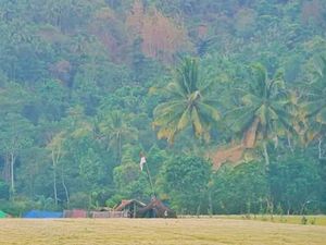 Potret Sejuk dan Asrinya Desa Wisata di Lombok Utara