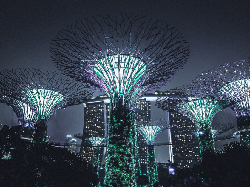 DBS Asian Insights: Asia Pusat Megacity di 2020