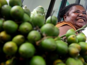 Pinang Menjadi Buah Favorit Masyarakat Jayapura
