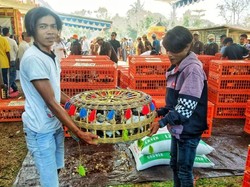 Beri Bantuan Ternak, Jurus Kementan Tekan Kemiskinan