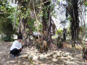 Ritual Nepus di Ciamis dan Mitos Memohon Jabatan