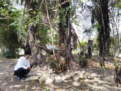 Ritual Nepus di Ciamis dan Mitos Memohon Jabatan