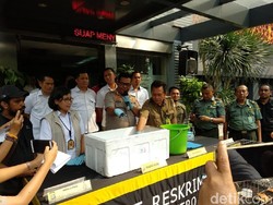 Jual Kura-kura Moncong Babi Via Medsos, 9 Pria Ditangkap