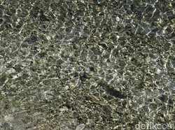 Penunggak Tagihan Air Tirta Pakuan Ditertibkan, Pakar: Sudah Sesuai Regulasi