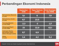 Indonesia di Mata IMF-World Bank, Kebal Krisis