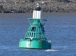 Alternatif Sistem Deteksi Dini Tsunami untuk Indonesia