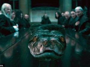 Tentang Nagini, Ular di Harry Potter yang Mitosnya dari Jawa Tentang Nagini, Ular di Harry Potter yang Mitosnya dari Jawa
