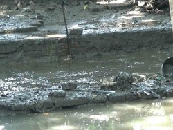 Takut Kena Bala, Warga Tolak Ekskavasi Petirtaan Kuno di Pasuruan