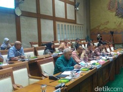 DPR Panggil Kementerian BUMN dan Pertamina Bahas Biodiesel 20%