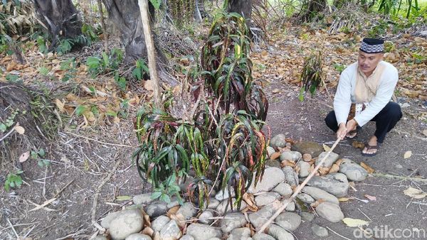 Foto: Tempat Ritual Minta Jabatan di Ciamis