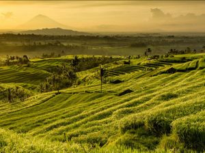Menengok Data Perkembangan Desa