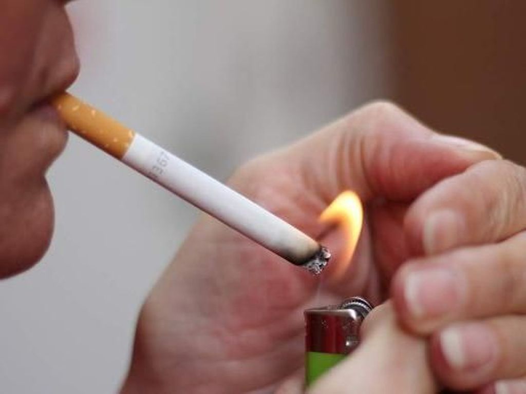 Cukai Rokok Batal Naik, Pemerintah Takut Pabrik Tutup Cukai Rokok Batal Naik, Pemerintah Takut Pabrik Tutup