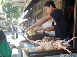 Peternak Ayam Ngadu ke Kemendag Rugi karena Harga Anjlok