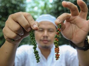 Ekspedisi APPSI Eksplorasi Kekayaan Bangka Belitung Ekspedisi APPSI Eksplorasi Kekayaan Bangka Belitung