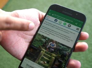 Ramai Larangan Foto Tidak Senonoh di Bali, Bagaimana Ceritanya?