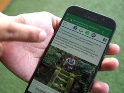 Ramai Larangan Foto Tidak Senonoh di Bali, Bagaimana Ceritanya?