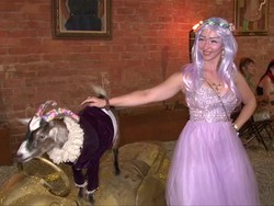 Gokil! Di Los Angeles Ada Kambing Doyan Party