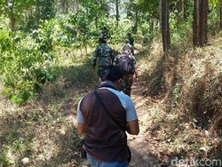 Hutan di Lereng Argopuro Terbakar, Ini Langkah Perhutani