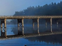 Remaja Disabilitas Diculik dan Dibuang dari Jembatan di Sydney