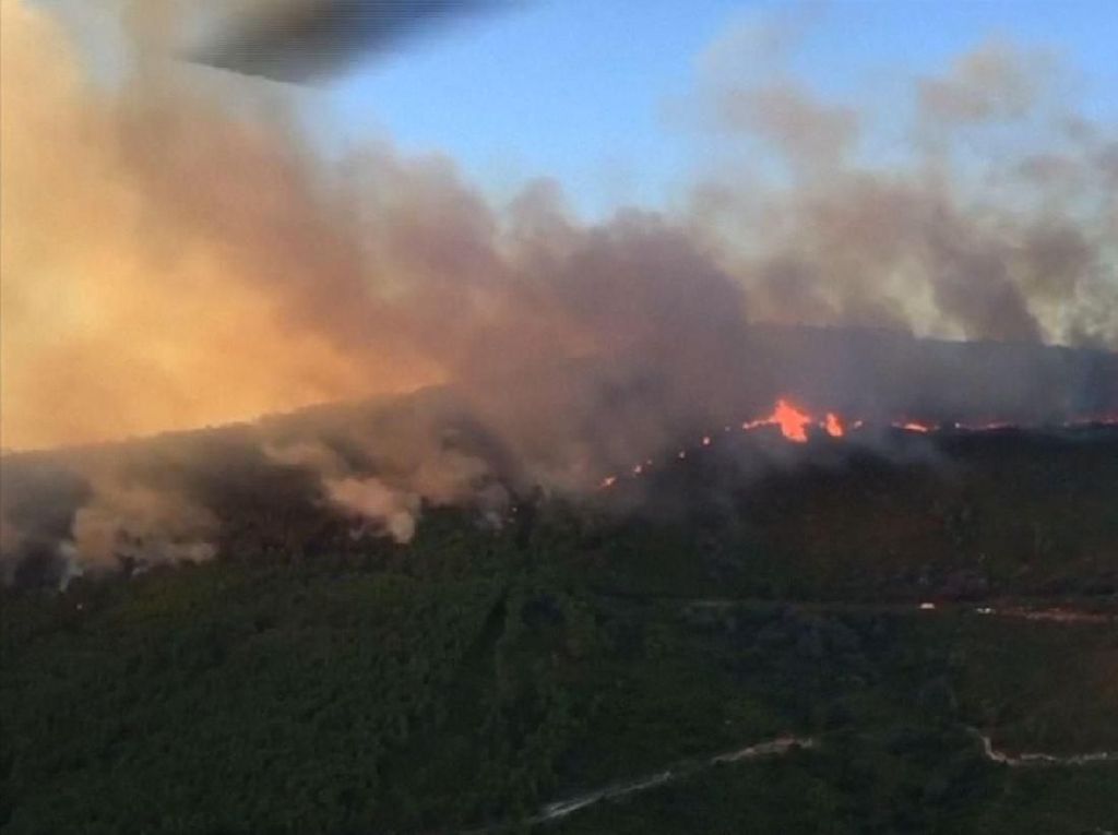Kebakaran Hutan di Sisilia Meluas ke Permukiman, Warga Dievakuasi Kebakaran Hutan di Sisilia Meluas ke Permukiman, Warga Dievakuasi