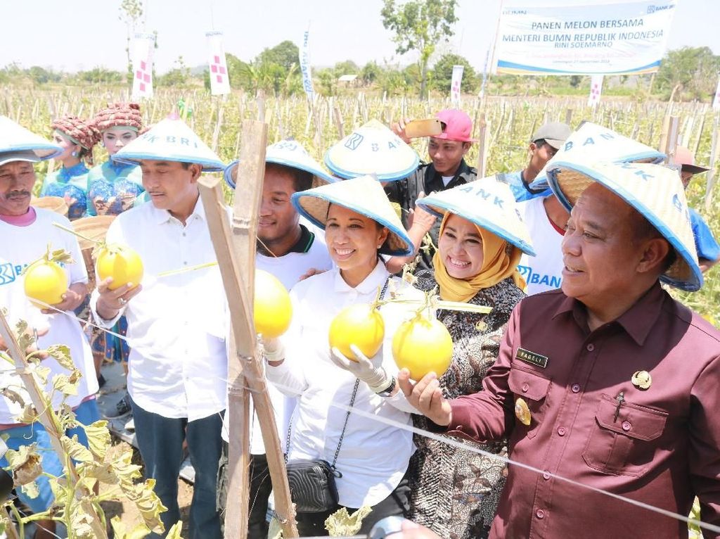 Rini Janji Jadikan Desa di Lamongan Kawasan Budidaya Melon Rini Janji Jadikan Desa di Lamongan Kawasan Budidaya Melon