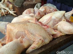 RI Buka Keran Impor Daging Ayam Brasil Gara-gara Kalah di WTO