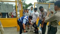 Foto: WN Jepang, Korsel dan China Segera Diadili di Papua