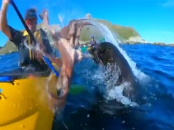 Asyik Naik Kano, Pria Ini Malah Ditampar Gurita