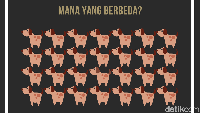 Temukan Gambar yang Beda! Gagal Berarti Kamu Lelah