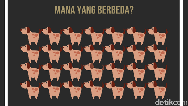 Temukan Gambar yang Beda! Gagal Berarti Kamu Lelah