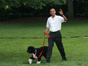 Soekarno sampai Barrack Obama, Tokoh Politik yang Punya Peliharaan (1)