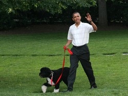 Soekarno sampai Barrack Obama, Tokoh Politik yang Punya Peliharaan (1)