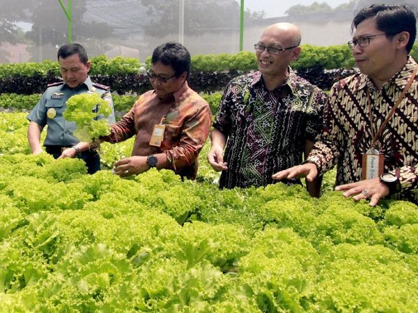 Rumah Hijau Hidroponik untuk Pensiunan TNI