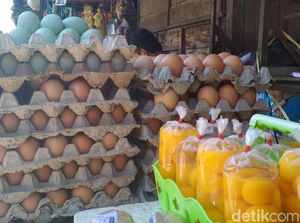 Harga Daging Ayam dan Telur Turun, Apa Langkah Pemerintah?