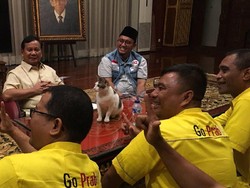 Kucing Kesayangan Prabowo Bikin Netizen Kepincut