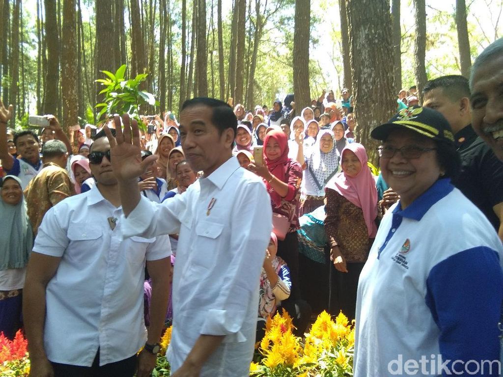 Tiba di Hutan Pinus Bantul, Jokowi Disambut Tabuhan Kentongan Bambu Tiba di Hutan Pinus Bantul, Jokowi Disambut Tabuhan Kentongan Bambu