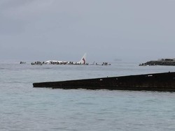 Penyelam Angkatan Laut AS Cek Maskapai Air Niugini