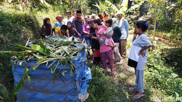 Warga berkerumun penasaran lihat macan tutul yang terperangkap