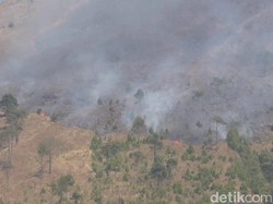 Kebakaran, Pendakian Gunung Guntur Garut Ditutup Mulai Hari Ini