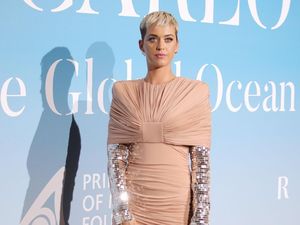 Dukungan untuk Katy Perry yang Diduga Lakukan Pelecehan Seksual Dukungan untuk Katy Perry yang Diduga Lakukan Pelecehan Seksual