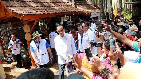Jokowi Buka Festival Kesatuan Pengelolaan Hutan