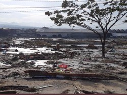 BNPB: Tinggi Tsunami Capai 5 Meter di Palu