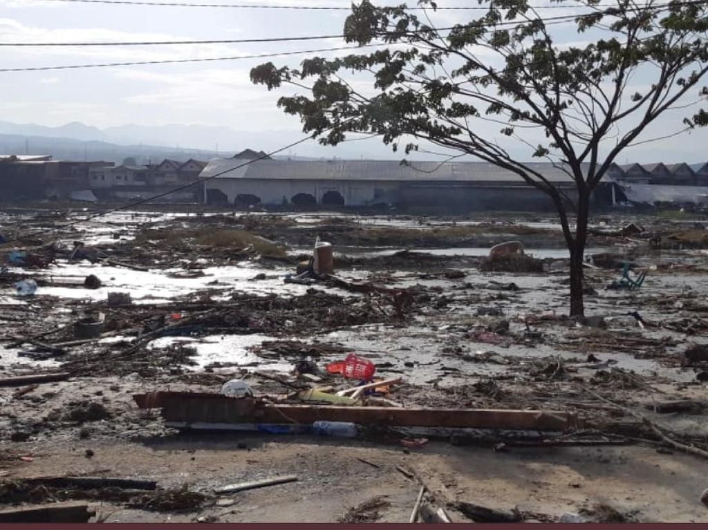 Dampak Tsunami di Palu, Ini Tandanya Korban Mengalami Fobia Air Dampak Tsunami di Palu, Ini Tandanya Korban Mengalami Fobia Air