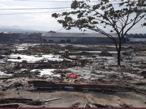 Dampak Tsunami di Palu, Ini Tandanya Korban Mengalami Fobia Air Dampak Tsunami di Palu, Ini Tandanya Korban Mengalami Fobia Air
