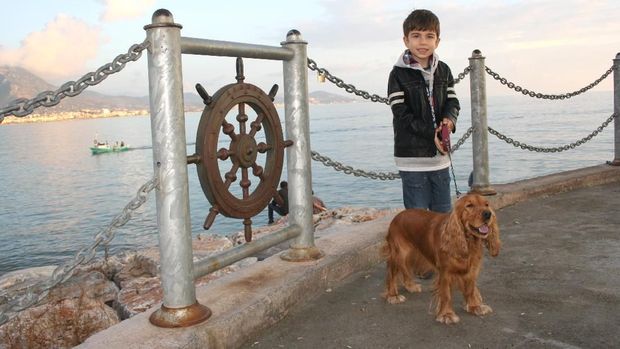 7 Ras Anjing yang Cocok Jadi Hewan Peliharaan Anak